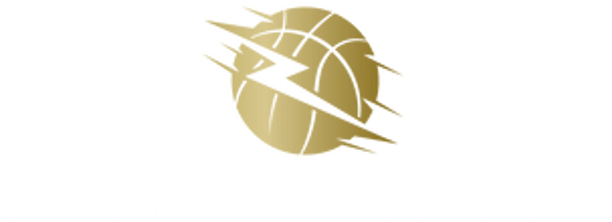 Team Unleashed Athletics | undefined Logo